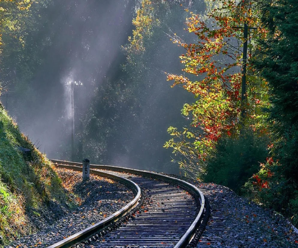 Na majówkę wraca turystyczne połączenie przez Puszczę Knyszyńską