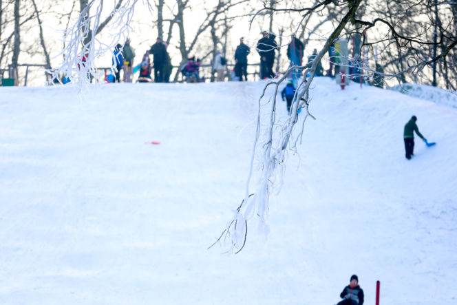 To najlepsza zimowa, darmowa atrakcja w Katowicach. Tłumy na torze saneczkowym