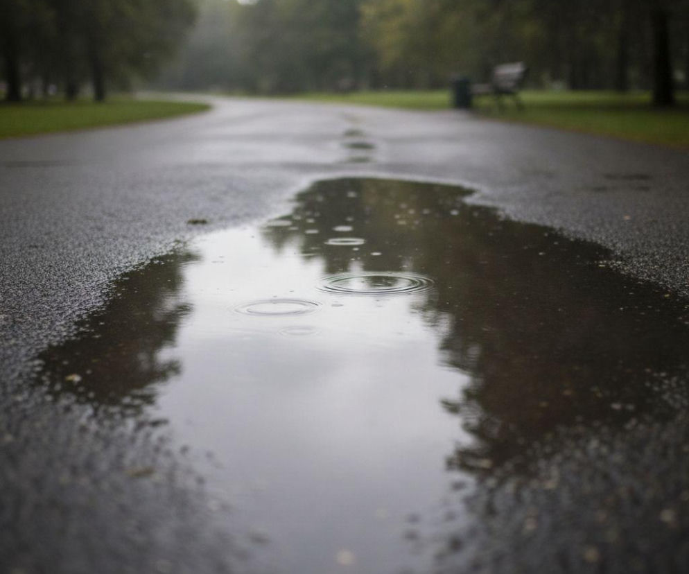 Kałuża na asfaltowej ścieżce w parku podczas deszczu. O prognozie pogody dla Krakowa przeczytasz na SE.