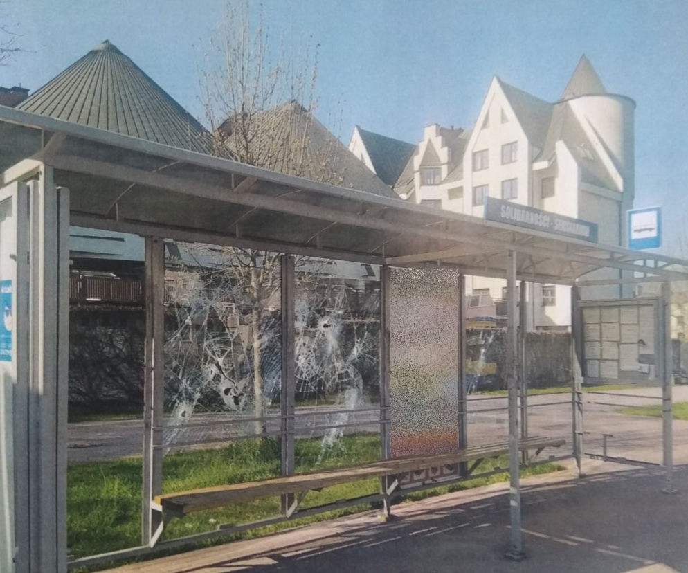 Tarnów. Młody wandal zdemolował wiatę przystankową. Później awanturował się w autobusie 