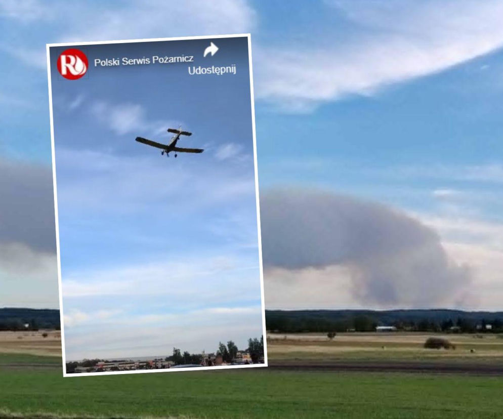 Nagrali ostatni start samolotu.  Pilot zginął, walcząc z pożarem lasu 