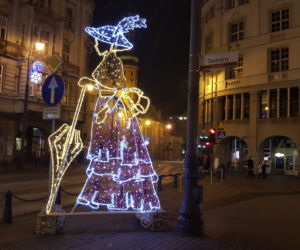 Magia świąt ogarnęła Bydgoszcz! Choinka na Placu Teatralnym zachwyca swoim pięknem!