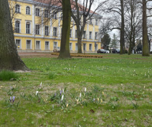 W parku na Pl. Kościuszki przygotowania do nowego sezonu