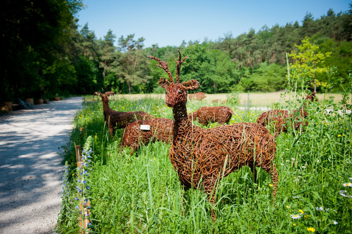 Park Dolina Wkry w Pomiechówku - spacer w koronach drzew, place zabaw, plaża