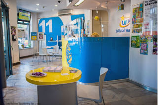 Wyniki Lotto: 24.11.2021, godzina 21.50. Multi Multi, Ekstra Pensja, Mini Lotto, Kaskada, Super Szansa [WYNIKI LOTTO, ŚRODA 24 LISTOPADA]