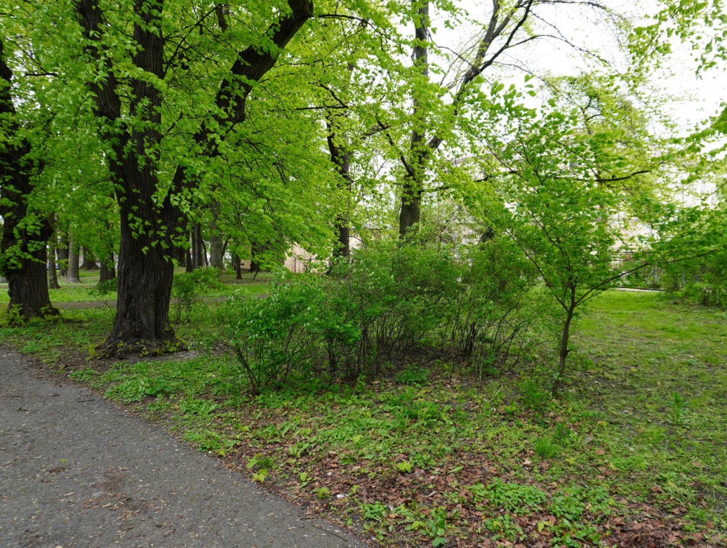 Park Bronowice wiosną 2024