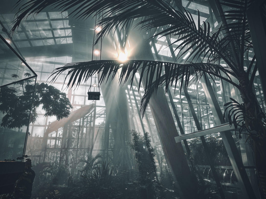 Nowe Egzotarium w Sosnowcu