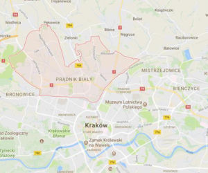 Miejsce 8: Prądnik Biały