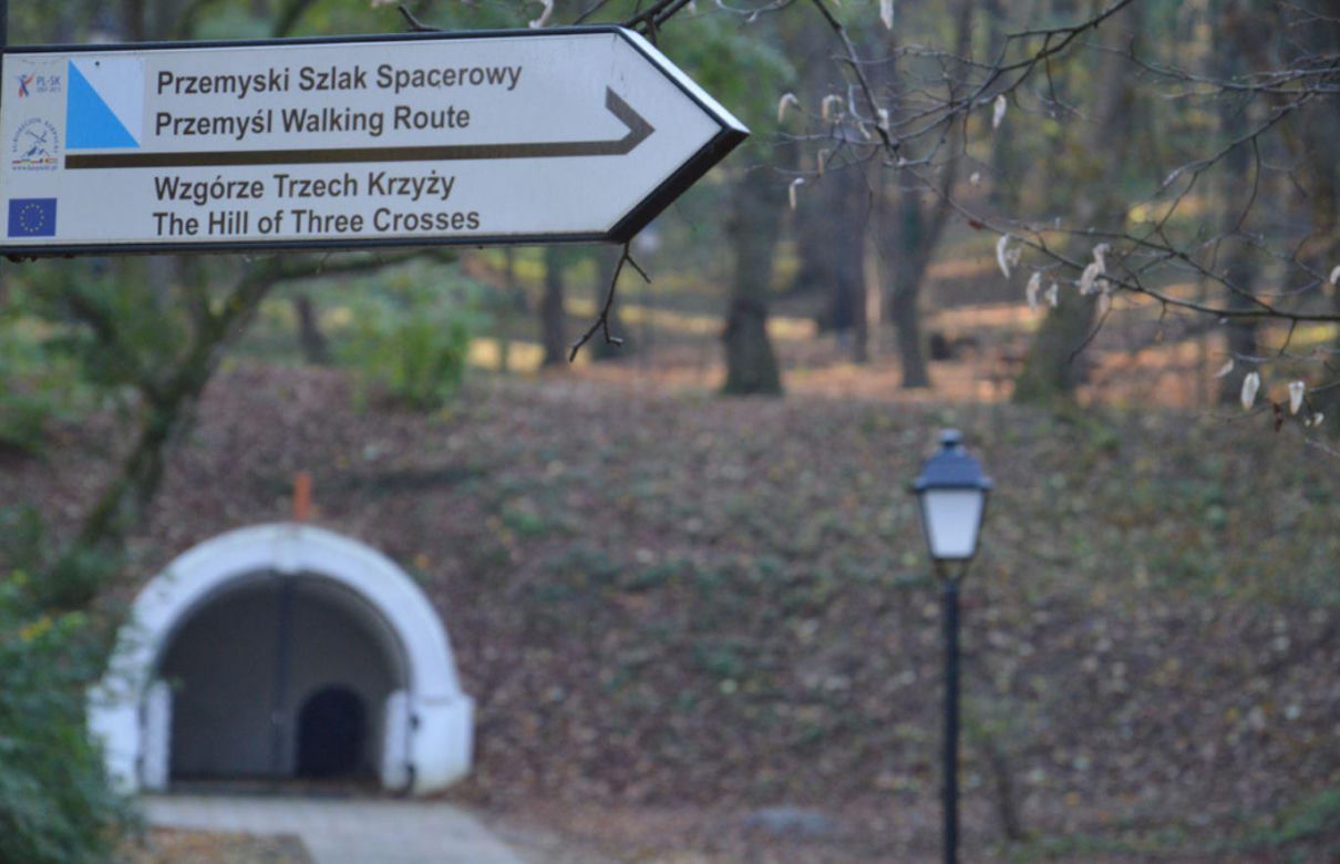To najpiękniejszy park na Podkarpaciu według AI 