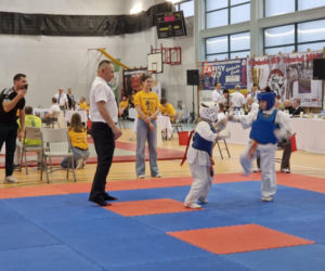 V Kyokushin Cup