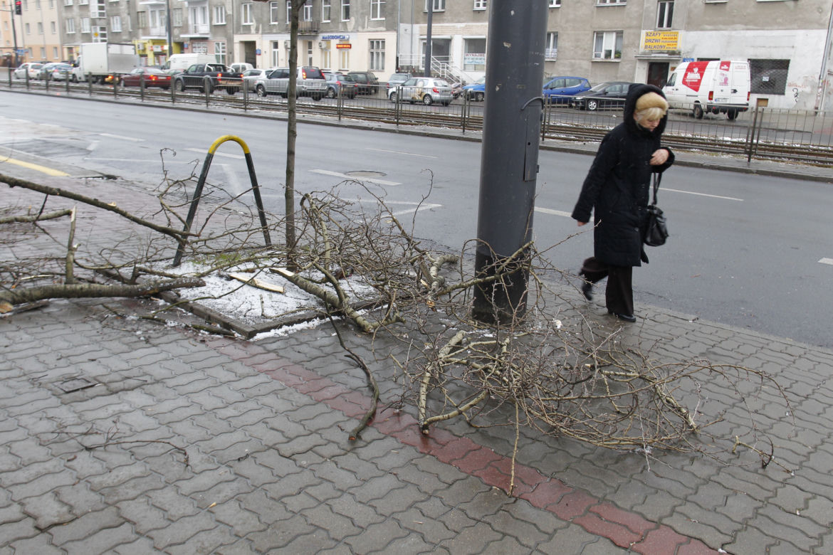 Śnieżyca, wichura w Warszawie