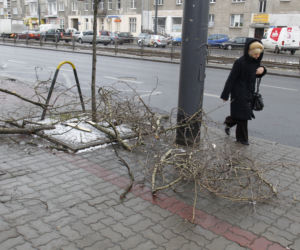 Śnieżyca, wichura w Warszawie