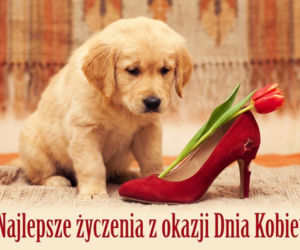 Kartka na Dzień Kobiet