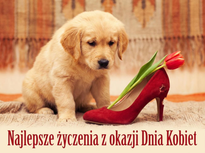 Kartka na Dzień Kobiet