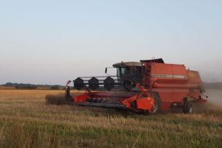 Agroklimatolog: w przyszłości żniwa będą się zaczynały na początku lipca. Wyraźne ocieplenie klimatu!