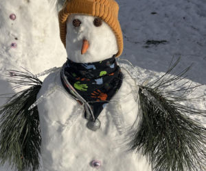 Rodzina bałwanów w Lublinie. Państwo Wrońscy zbudowali zimowy hit osiedla