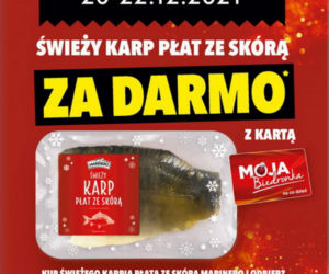 karp za darmo