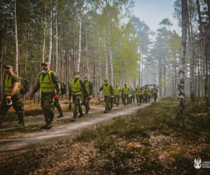 Ktoś podłożył ogień w Puszczy Solskiej? Przyczyną mogło być podpalenie