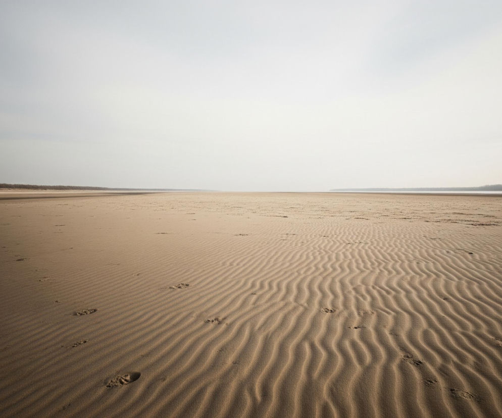 Rozległa, piaszczysta plaża rozciąga się w kierunku horyzontu pod jasnym, zachmurzonym niebem. Na pierwszym planie i w środkowej części piasek ma jasnobrązowy odcień, z wyraźnymi, falistymi grzbietami utworzonymi przez wiatr lub wodę, a także pojedynczymi śladami stóp. Po lewej i prawej stronie horyzontu widać ciemne pasma roślinności, prawdopodobnie krzewów lub drzew, oddzielające piasek od jasnego, mlecznego nieba, które zajmuje większą część górnej połowy obrazu.