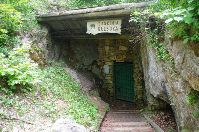 Dzikie zakątki woj. śląskiego