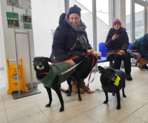 Los psiaka poruszył tysiące ludzi. 13-letnia Ksena wreszcie ma dom