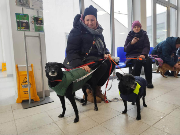 Los psiaka poruszył tysiące ludzi. 13-letnia Ksena wreszcie ma dom