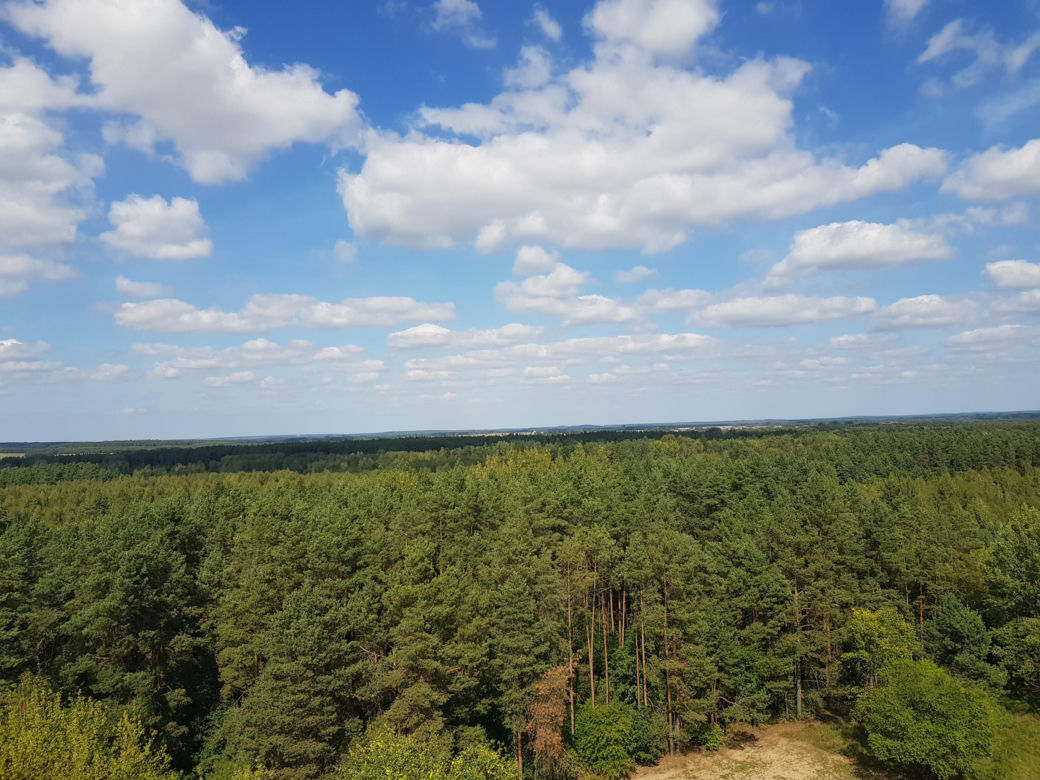 Wieża widokowa w Uhowie. To najwyższa wieża na Podlasiu [ZDJĘCIA]