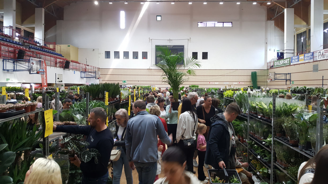 Festiwal Roślin w Nowym Sączu