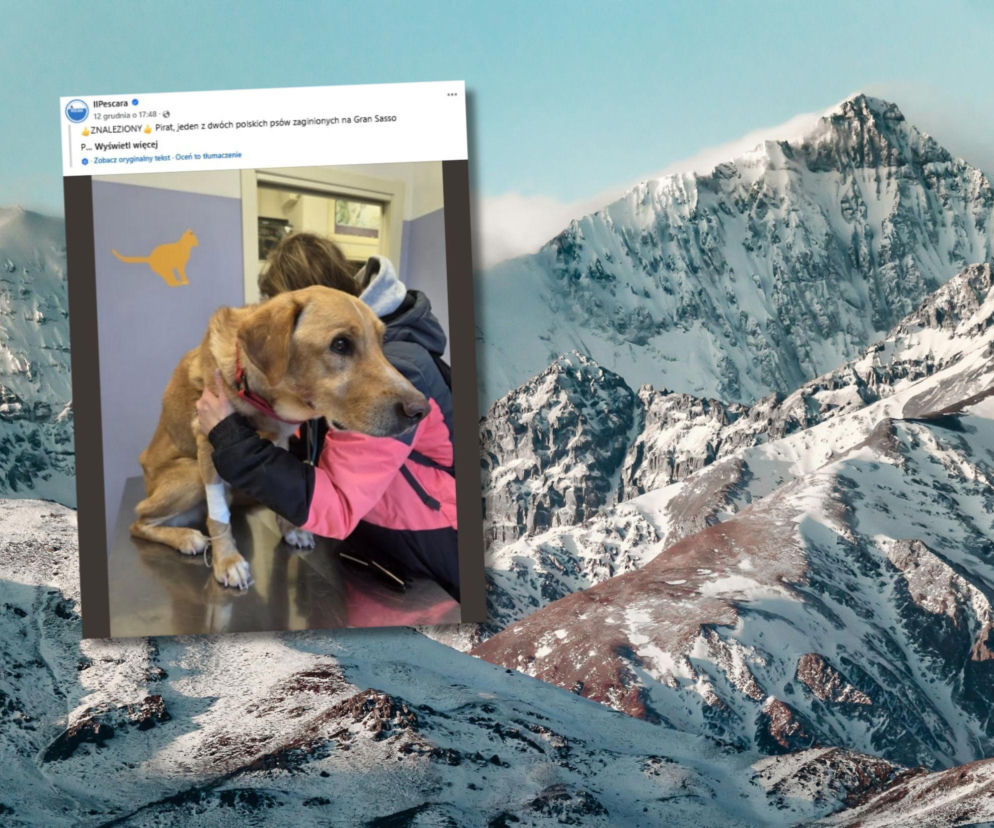 Karol Brożek zaginął w Apeninach. Właśnie odnaleziono jego psa