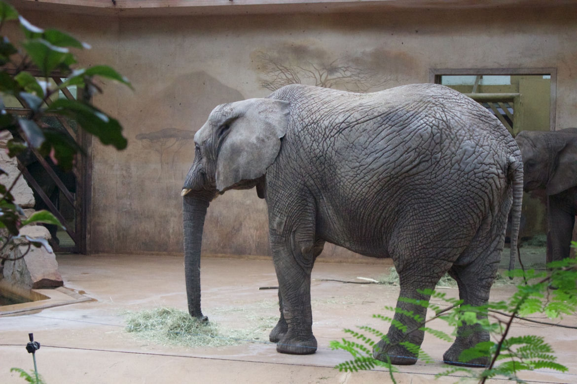ZOO w Warszawie