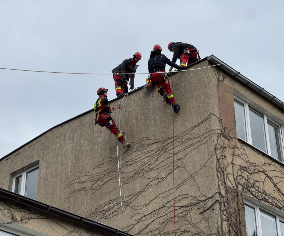 Potężne ćwiczenia straży pożarnej na Pomorzu. W akcji 100 ratowników i psy!