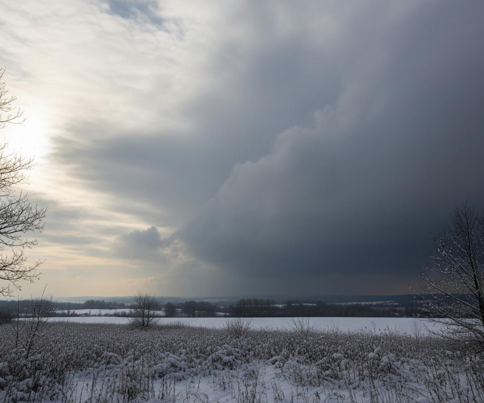 Zimowy krajobraz ukazuje rozległą, śnieżną równinę pokrytą niskimi krzewami i suchymi trawami, również oprószonymi białym puchem. Po lewej stronie kadru dominuje duże, bezlistne drzewo o ciemnych, rozłożystych gałęziach, częściowo pokrytych śniegiem, natomiast po prawej stoi mniejsze, smukłe drzewko. Niebo jest dramatycznie podzielone: lewa strona jest jasna, z widocznym słońcem przebijającym się przez cienkie, poziome chmury, tworząc złocisty blask, natomiast prawa strona jest zdominowana przez ciężkie, ciemnoszare chmury zapowiadające burzę lub opady, z wyraźną linią rozdzielającą obie formacje. W tle, na horyzoncie, rozciąga się pas ciemnych drzew i delikatny, zamglony zarys odległego krajobrazu.
