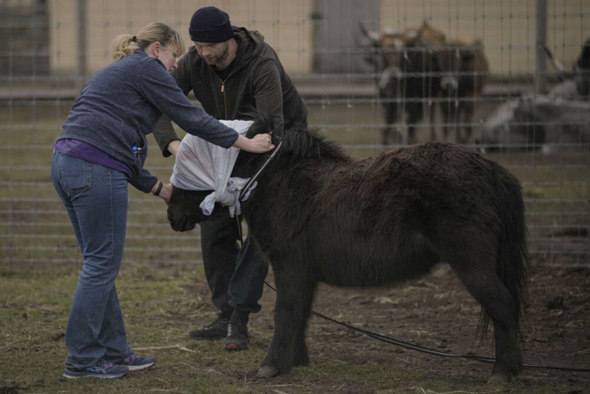 Wojska Putina specjalnie zbombardowały zoo! Zginęły setki zwierząt
