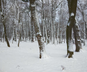 Śnieg zasypał Tarnów, teraz czas na mróz. Będzie PRZEŹLIWIE zimno