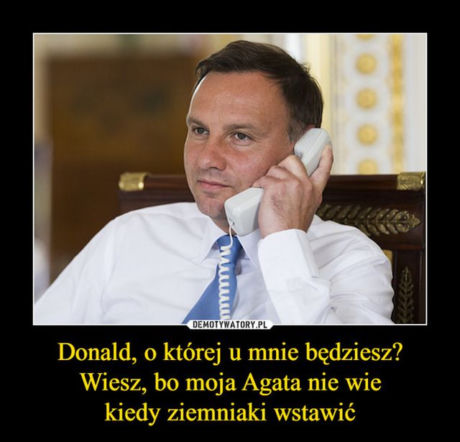 Trump w Polsce: MEMY

