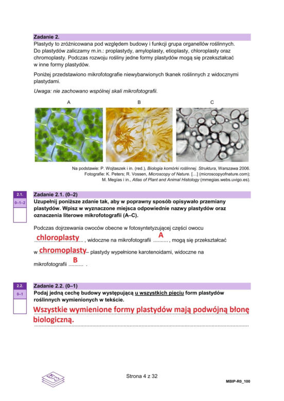 Matura 2025 biologia rozszerzona: ODPOWIEDZI do wszystkich zadań, gotowe rozwiązania matury z biologii rozszerzonej - Formuła 2023 [9.05.2025]	