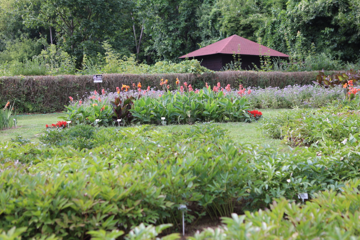 Kwitnący Ogród Botaniczny UMCS w Lublinie