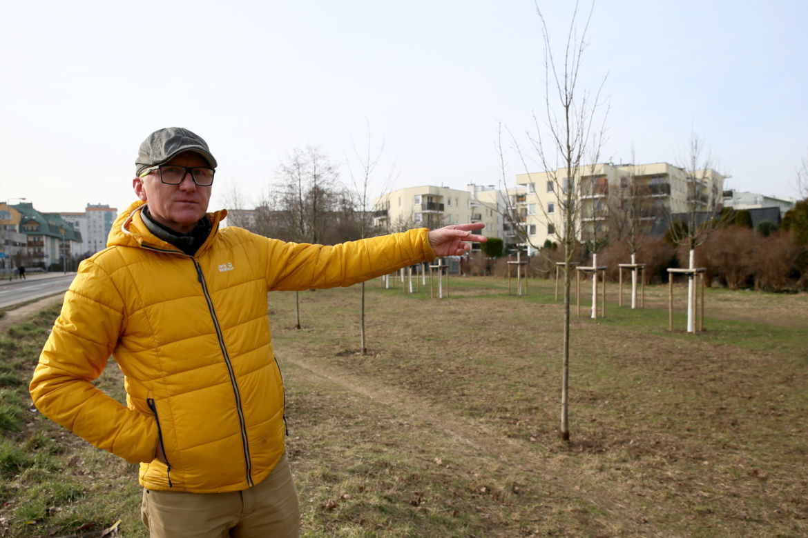 Urzędnicy chcą z zielonego skweru zrobić parking. Mieszkańcy wolą park