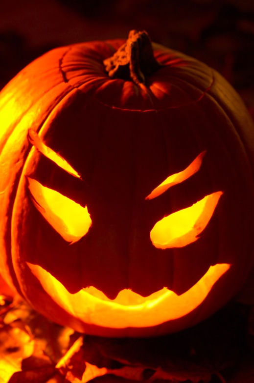 Halloween dynie