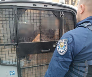 Furia na dworcu kolejowym. Konduktor podjął decyzję, a on wpadł w szał