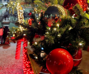 Choinka przed urzędem miasta w Szczecinie