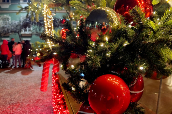 Choinka przed urzędem miasta w Szczecinie