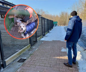 Wątpliwości wokół sprzętu AGD w schronisku. Magistrat odpowiada