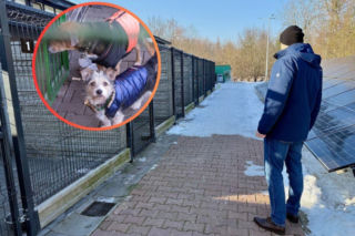 Wątpliwości wokół sprzętu AGD w schronisku. Magistrat odpowiada