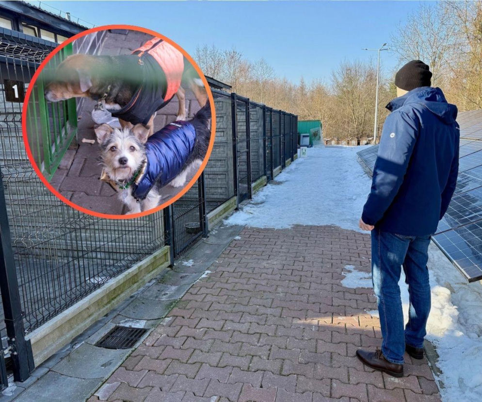 Wątpliwości wokół sprzętu AGD w schronisku. Magistrat odpowiada