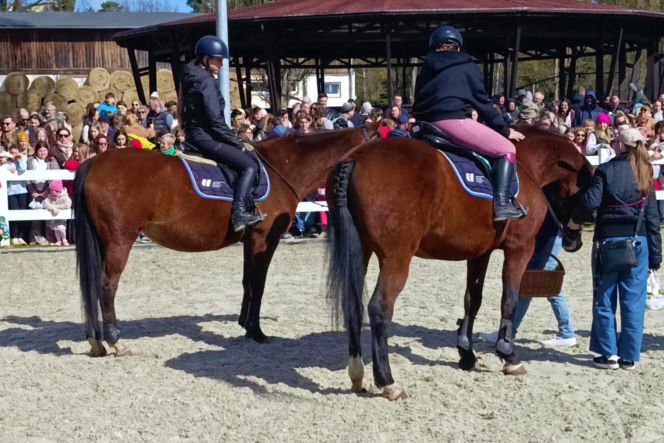 Konna święconka w Szczecinie