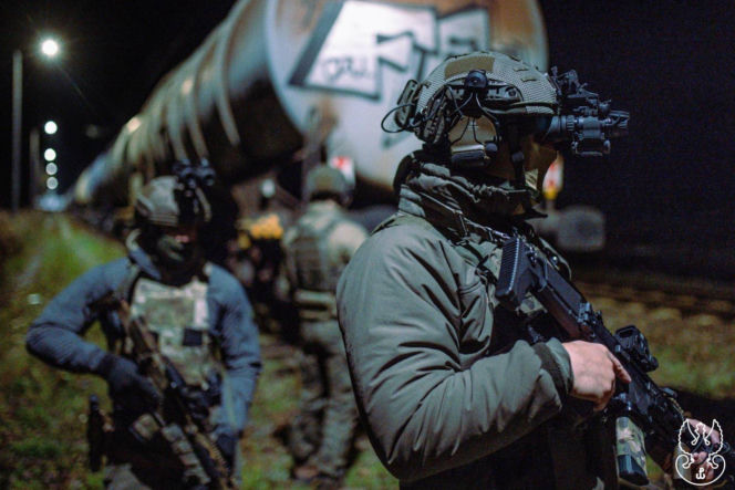 Żołnierze WOT jak policjanci? Mogą legitymować i zatrzymywać