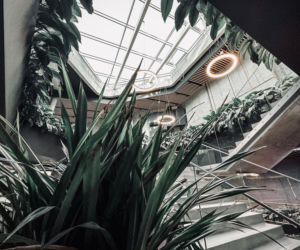 Egzotarium w Sosnowcu