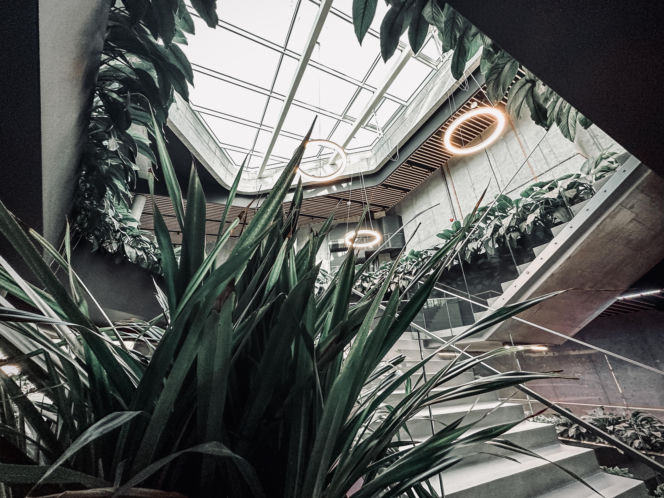 Egzotarium w Sosnowcu