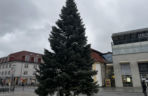 Wielki choinka stanęła na Rynku Kościuszki